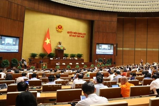 Quốc hội thảo luận về chính sách đặc thù phát triển tỉnh Nghệ An và TP.Đà Nẵng