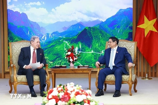 Sớm đưa kim ngạch thương mại Việt Nam - New Zealand đạt mục tiêu 3 tỉ USD