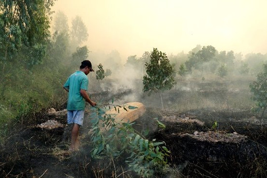 Đồng Tháp: Vườn quốc gia Tràm Chim đang cháy lớn