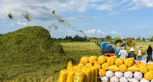 Bạc Liêu: Hợp tác xã hướng tới sản xuất nông nghiệp khép kín