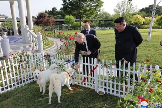 Món quà nhà lãnh đạo Triều Tiên tặng ông Putin