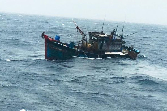 Cứu kịp thời 5 ngư dân trên tàu cá bị sóng đánh chìm ở Cà Mau