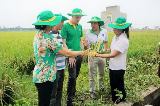 Đã đến lúc không thể không sửa đổi Luật 71