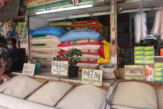 Philippines giảm mạnh thuế nhập khẩu gạo, doanh nghiệp Việt được lợi