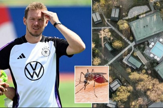 Euro 2024: Tuyển Đức bị muỗi ‘tấn công’ tại đại bản doanh