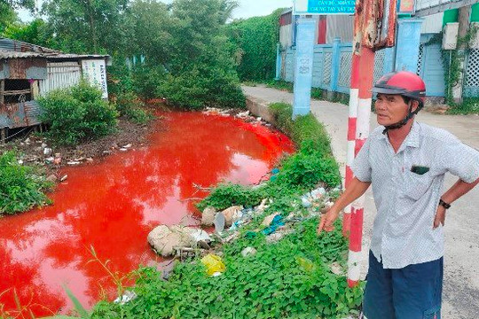 Cà Mau: Nước kênh Nàng Âm chuyển sang màu đỏ bất thường