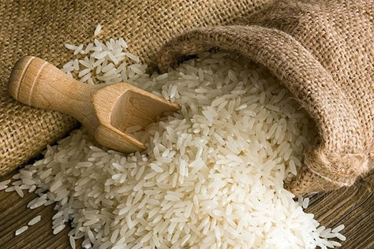 Lệnh giảm thuế nhập khẩu gạo của Philippines liệu có được thực thi?