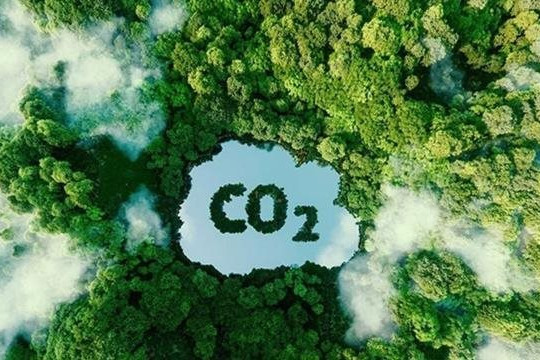 ‘Cuộc chơi mới’ từ thị trường carbon