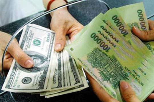 Đồng tiền Việt Nam mất giá ở mức hợp lý