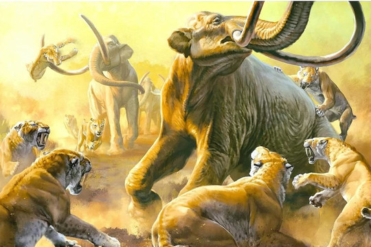 Phát hiện mới về sự tuyệt chủng của voi ma mút và hổ răng kiếm