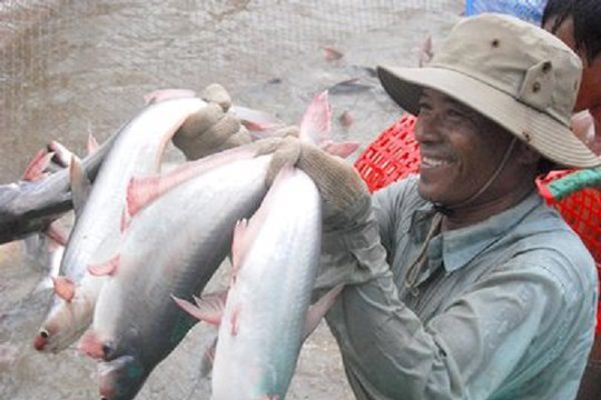 Sản phẩm cá tra Việt Nam khởi sắc ở Mỹ và Trung Quốc