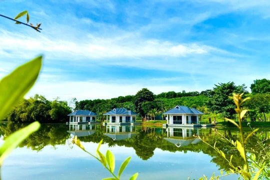 LAMORI - Nàng công chúa chốn Lam Kinh