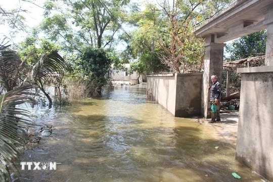 Chủ tịch Hà Nội ra công điện hỏa tốc chỉ đạo chủ động phòng, chống lụt bão