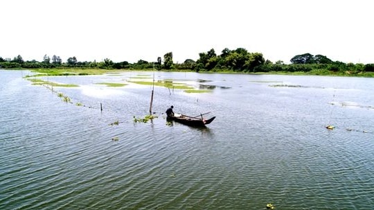 Mùa nước nổi đến An Giang thưởng thức đặc sản cá linh non