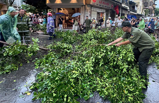 Ảnh hưởng bão số 3: Hà Nội có 1 người chết, 6 người bị thương, 402 cây xanh đổ, gãy cành