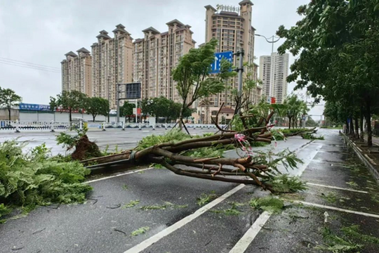 Miền Nam Trung Quốc sau siêu bão Yagi