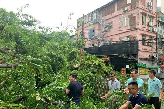 TP.HCM cử lực lượng hỗ trợ Hà Nội, Hải Phòng khắc phục hậu quả bão số 3