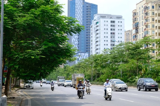 Bắc Bộ lũ trên các sông rút chậm; Tây Nguyên, Nam Bộ mưa lớn