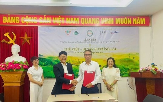 Hội Thông tin KH-CN Việt Nam đồng hành cùng ngành chè để phát triển bền vững