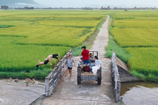 ‘Kính vạn hoa’ của Nguyễn Nhật Ánh một lần nữa lên màn ảnh rộng