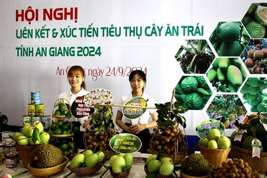 An Giang đẩy mạnh kết nối tiêu thụ trái cây