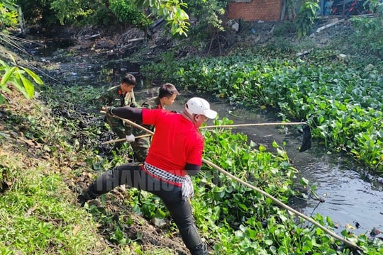 TP.HCM: Giải quyết kịp thời phản ánh của người dân về môi trường