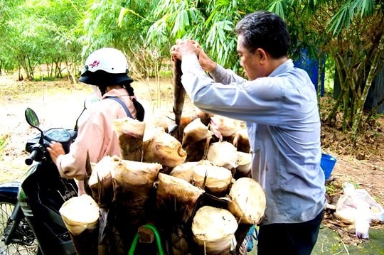 An Giang: Vùng Bảy Núi vào mùa măng rừng