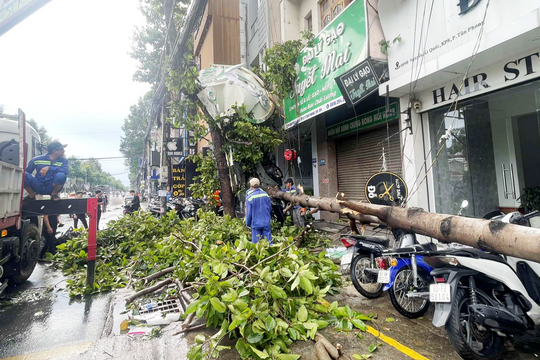 Mưa lớn làm nhiều cây xanh ở TP.Biên Hòa gãy đổ, đè xe máy