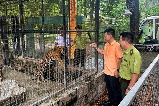 Đã có kết quả xét nghiệm cúm H5N1 tại khu du lịch Vườn Xoài (Đồng Nai)