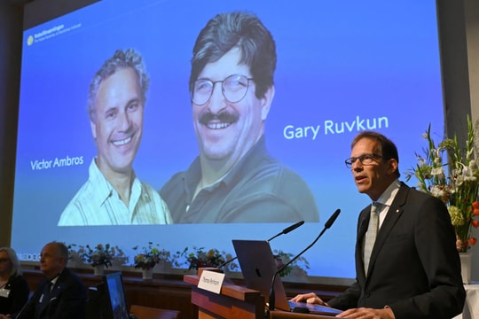 Victor Ambros và Gary Ruvkun giành giải Nobel Y học nhờ phát hiện ra microRNA