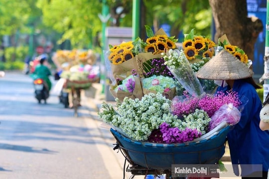 Nam Bộ chiều mưa to, Bắc Bộ sáng mưa rào và sương mù