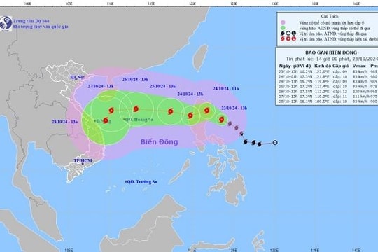 Hàng không trực 24/24 giờ để ứng phó bão Trà Mi