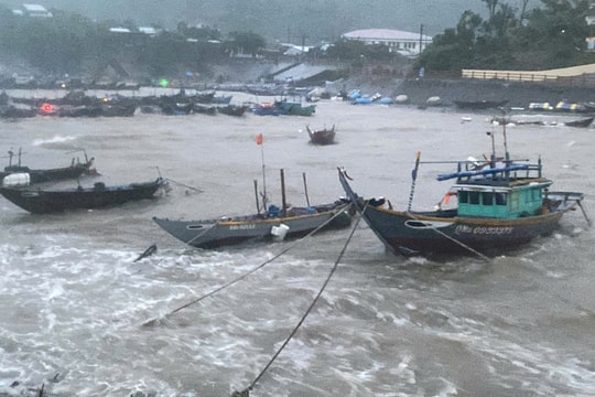 Bão Trà Mi cách Đà Nẵng hơn 100km, từ Quảng Bình đến Quảng Nam mưa rất to