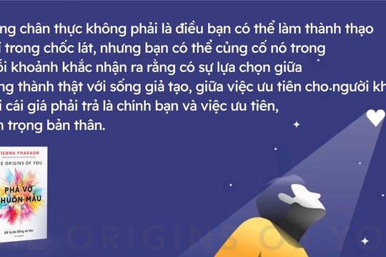 'Phá vỡ khuôn mẫu': Khi vết thương tin tưởng nắm quyền kiểm soát