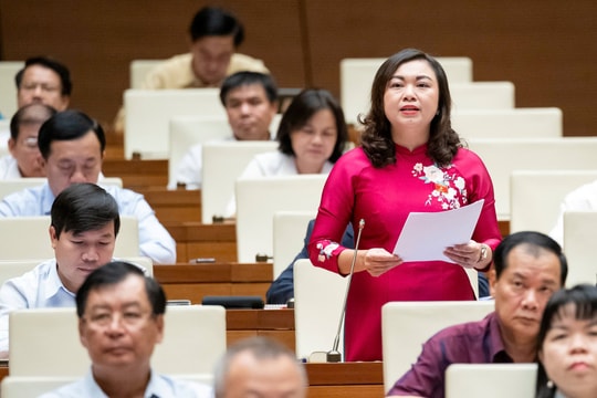 ĐBQH đề nghị kiểm điểm rõ trách nhiệm việc ban hành văn bản pháp luật gây cản trở sự phát triển