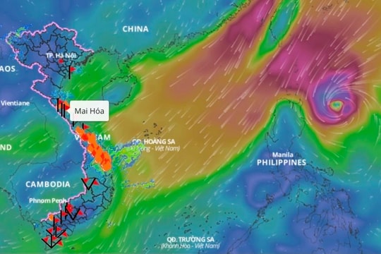 Các tỉnh, thành phố từ Quảng Ninh đến Bình Thuận chủ động ứng phó bão Yinxing