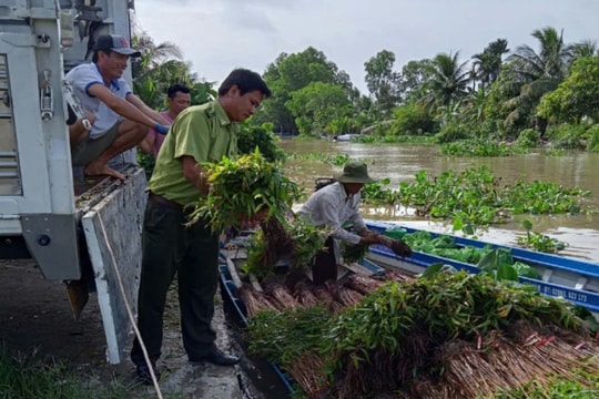 Gần 1.000 tỉ đồng mang lại thành công bước đầu của 'Đề án Hậu Giang xanh'