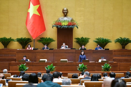 Hoang mang về thực phẩm chức năng: Trách nhiệm của Bộ Y tế