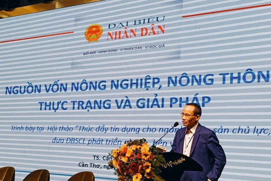 Tín dụng cho ngành hàng nông sản chủ lực ở ĐBSCL còn rất nhiều điểm nghẽn