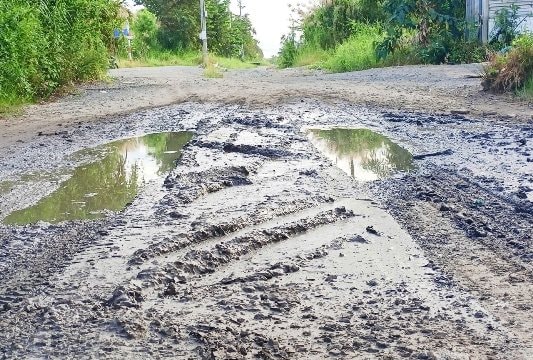 Cà Mau: Người dân mòn mỏi chờ nâng cấp con đường ‘đau khổ’