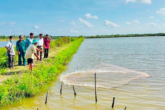 Ngành nông nghiệp Cà Mau xác định chuyển đổi số là nhiệm vụ then chốt