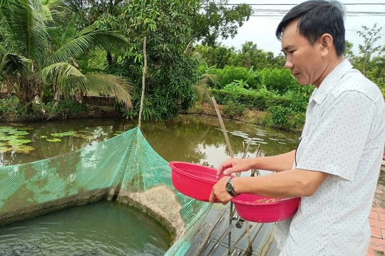 Huyện U Minh (Cà Mau) khởi sắc từ nỗ lực xây dựng nông thôn mới