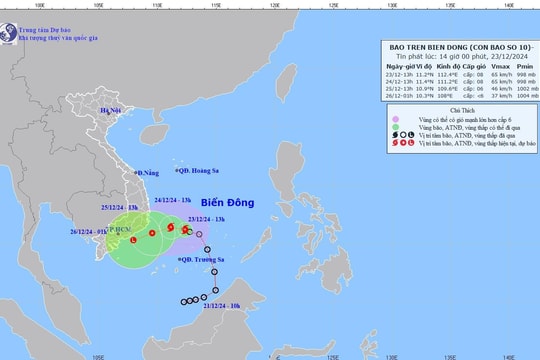 Chủ động ứng phó với bão số 10