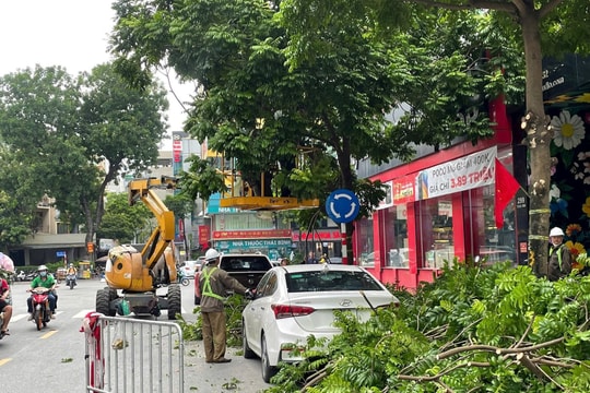 TP.HCM chủ động lên phương án ứng phó bão số 10