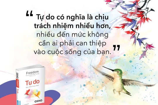 ‘Tự do - Như chim tung cánh’: Đừng đổ trách nhiệm lên thứ không tồn tại