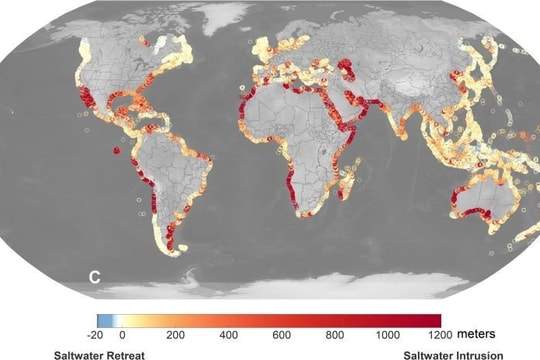 77% khu vực ven biển bị đe dọa bởi sự xâm mặn – Chúng ta ở thang độ nào?