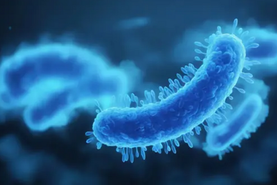 ‘Gót chân Achilles’ của vi khuẩn kháng kháng sinh