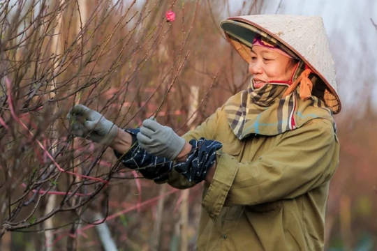 Bắc Bộ rét sâu, ngày nắng hanh