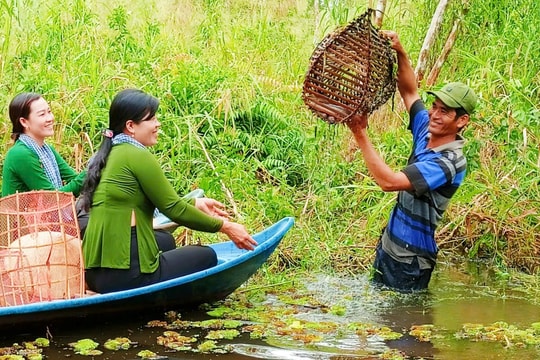 Huyện Trần Văn Thời (Cà Mau): Kinh tế phát triển, nhiều chỉ tiêu đạt và vượt kế hoạch