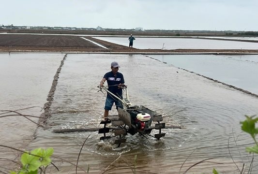 Diêm dân Bạc Liêu tất bật vào vụ mới